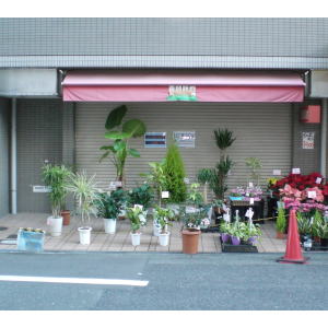 �����ݏZ��̕��ʐ}